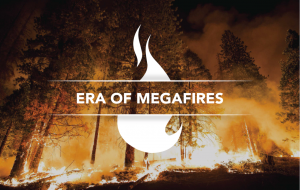 megafires