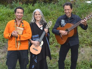 Sin Fronteras chilean folk cropped