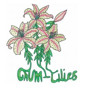 Chumlilies