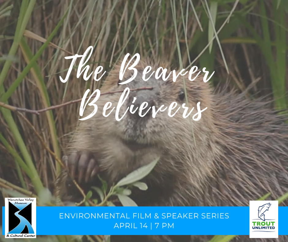 The Beaver Believers April 14