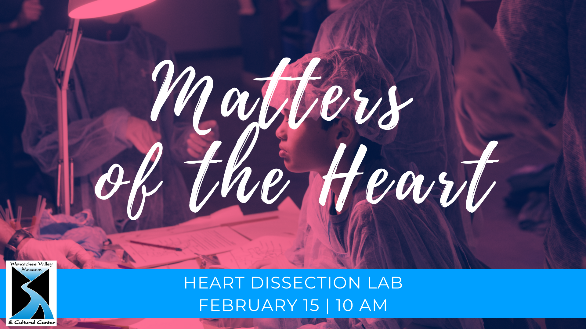 Heart Dissection Lab February 15