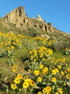 Legend of Saddle Rock