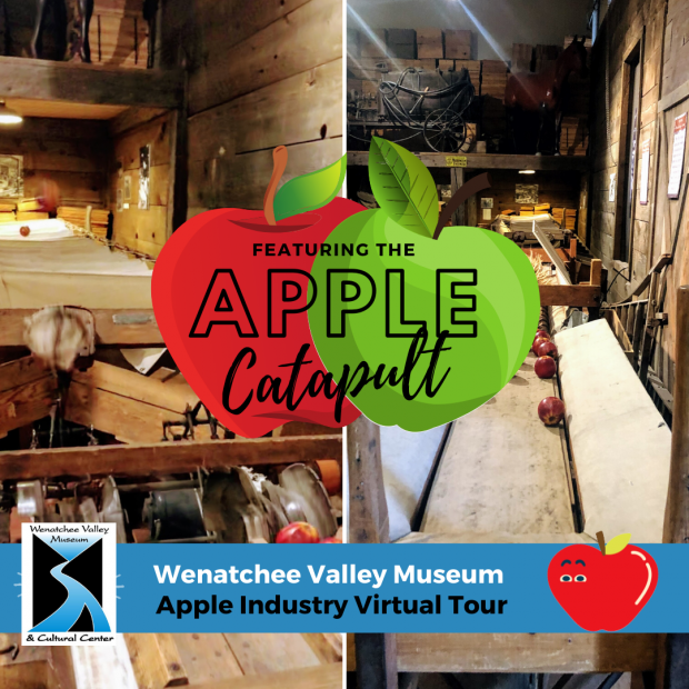Apple Industry Virtual Tour