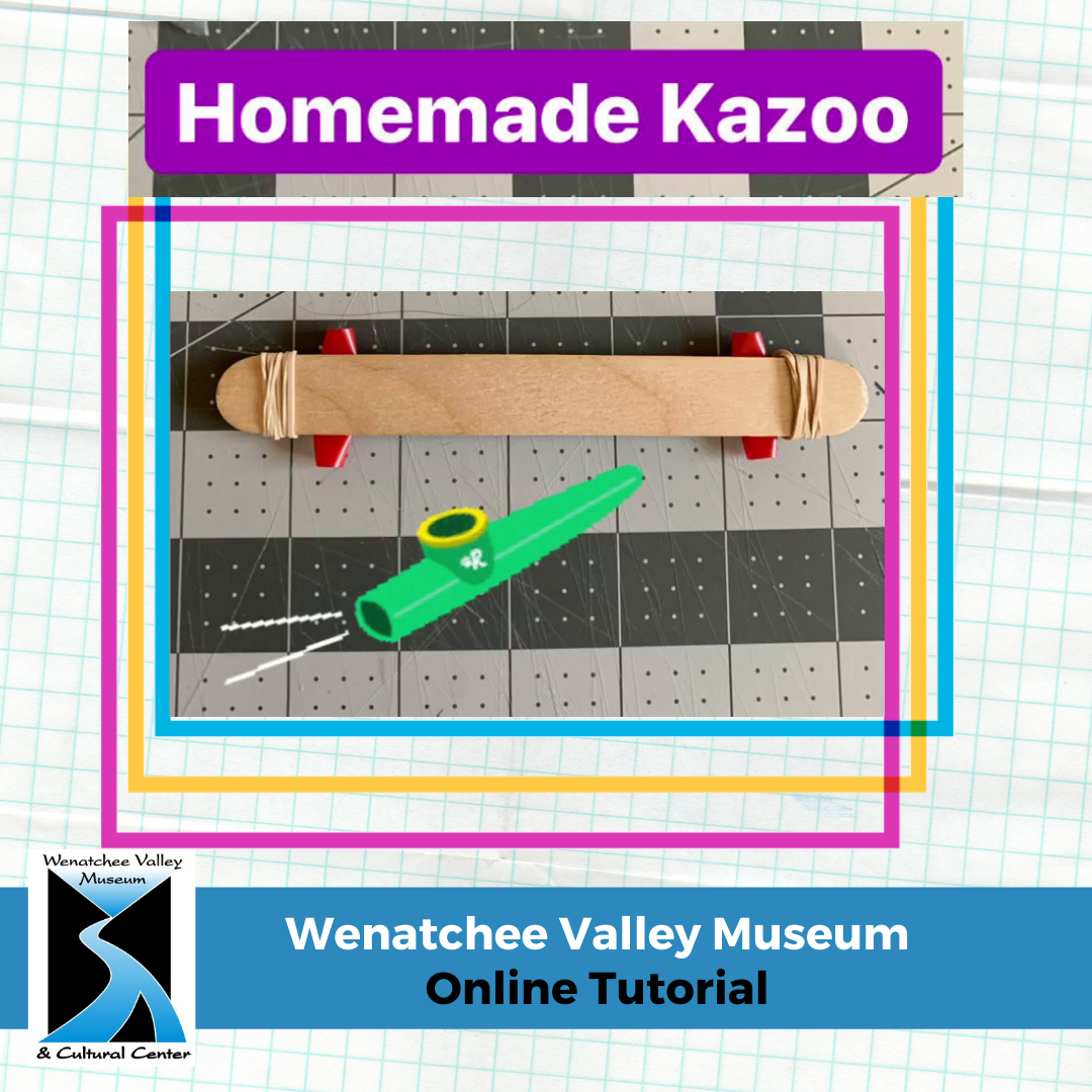 Make a Kazoo  STEM Activity