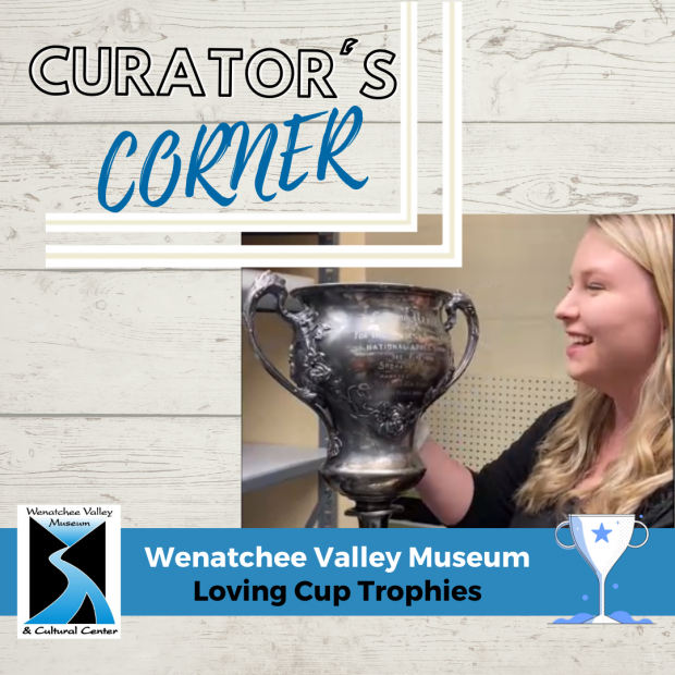 Curator's Corner Loving Cup Trophies