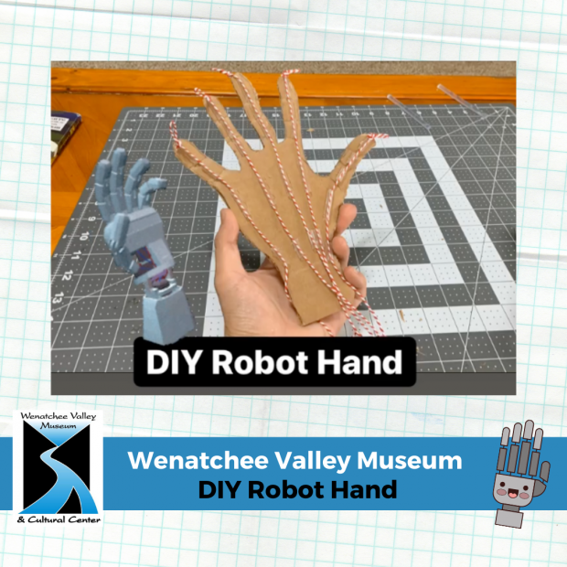 DIY Robot Hand