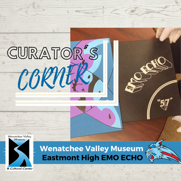 Curator's Corner: EMO ECHO