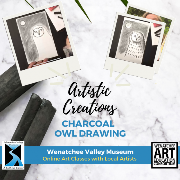 Charcoal Owl Drawing