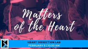 Matters of the Heart