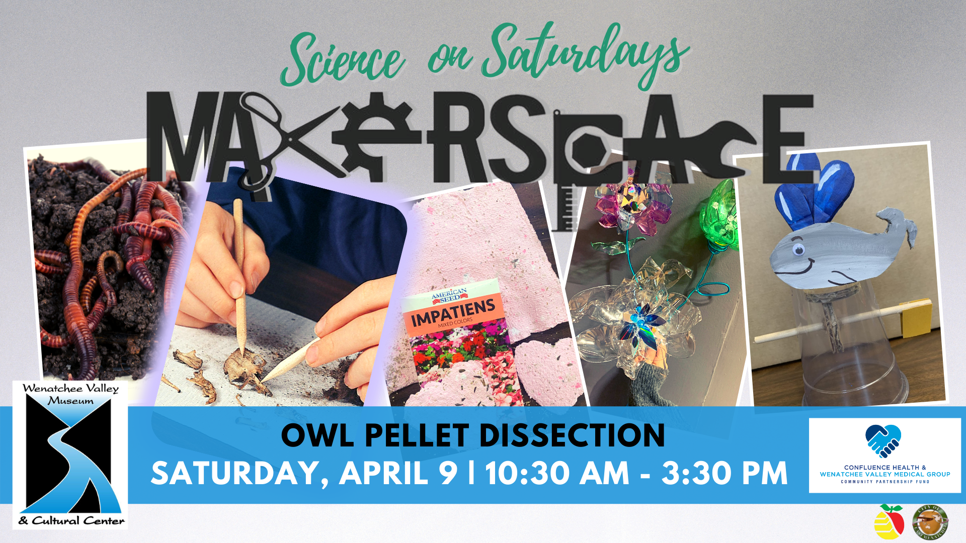 Owl Pellet Dissection