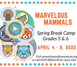 Spring Break Camp 2022