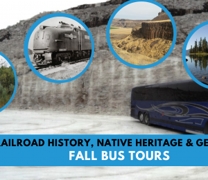 Bus Tours