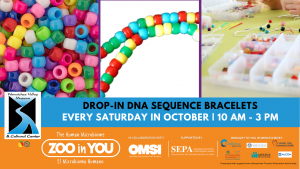 DNA Sequence Bracelets
