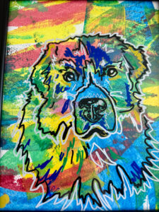 pet portrait workshop